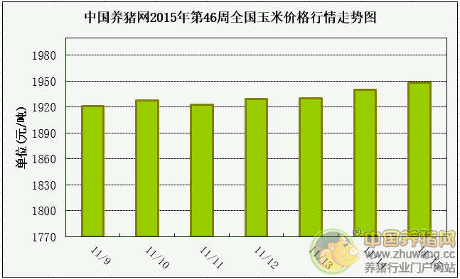 玉米价格